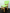 Дитячий стільчик Верес МДФ зелений, фото