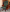 Кресло Мурано палисандр Y-64 (темно-вишневый)/беж 279,зеленый 276, коричневый (кожа), фото