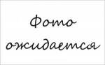 Крісло Туніс P EXTRA, EXTRA LB "Бостон D-, H-, B-", фото